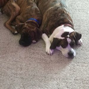 Meet your Posher, Melanmelanie